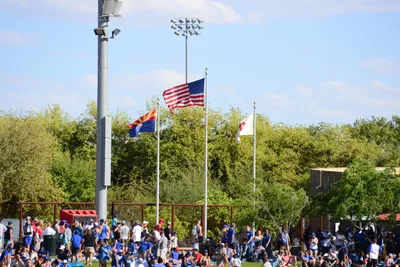 DSC_1663 (Large).JPG